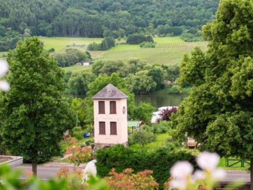 Chateau-De-La-Moselle Kinheim Ngoại thất bức ảnh